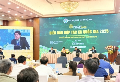 Hợp tác xã cần nhanh chóng chuyển tư duy sản xuất nông nghiệp sang kinh tế nông nghiệp