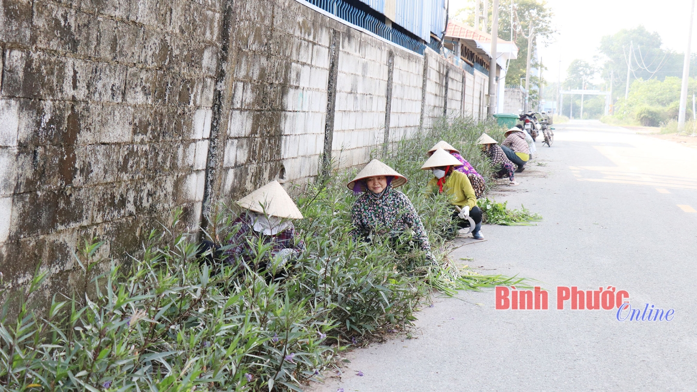 07 bao ve moi truong tu nhung viec lam nho nhat